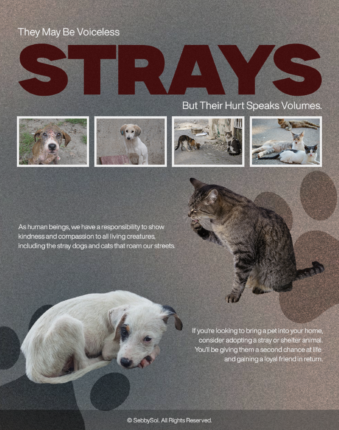 Strays